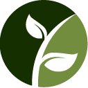 Arborvitae Pruning Pros