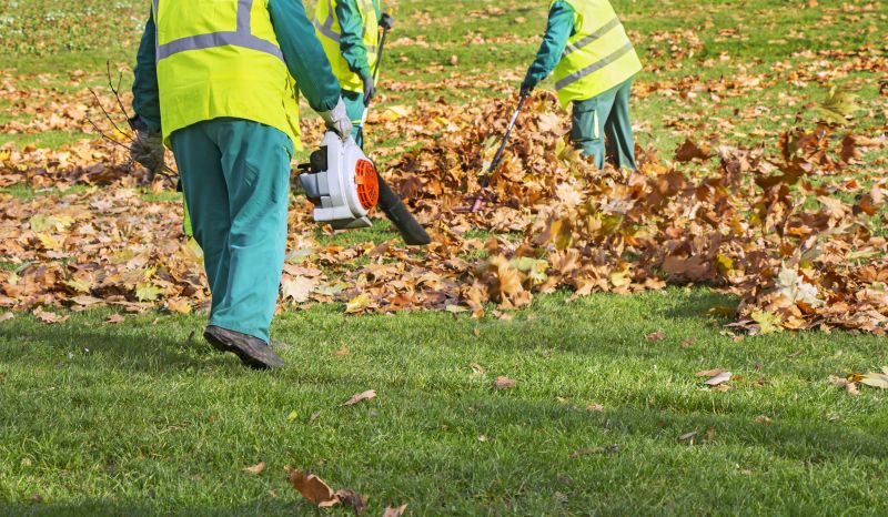 Leaf Blowing and Clearing
